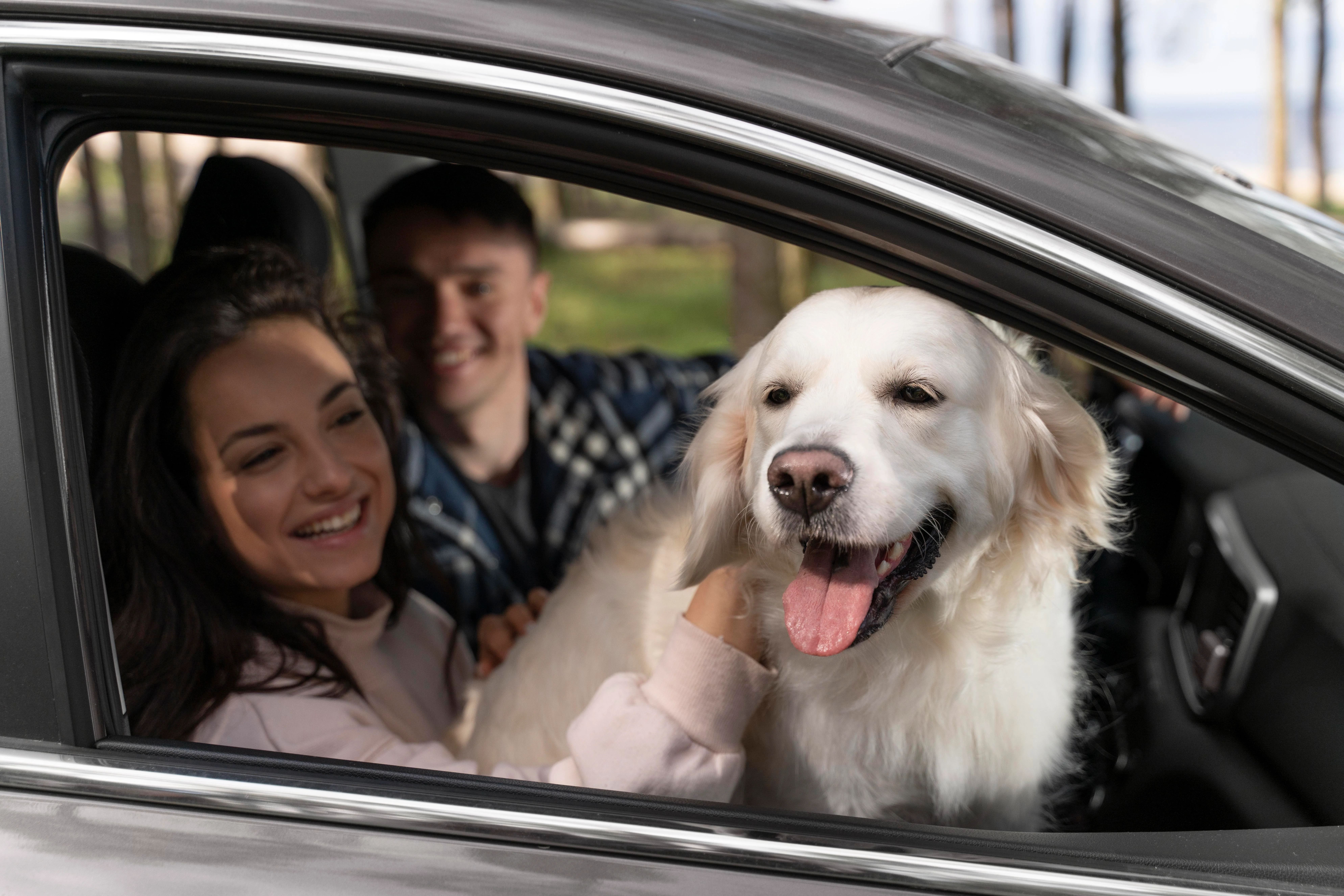 pet_friendly